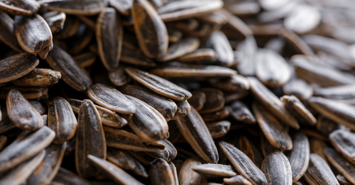 découvrez les bienfaits du magnésium, un minéral essentiel pour la santé. apprenez pourquoi il est important, ses sources alimentaires, et comment prévenir les carences pour rester en forme au quotidien.