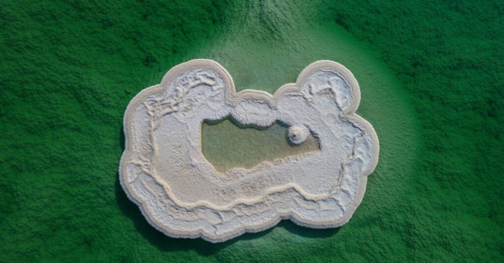 découvrez les bienfaits du magnésium pour la santé : rôle essentiel dans le fonctionnement musculaire, la réduction du stress et l’énergie au quotidien. conseils, apports recommandés et sources alimentaires expliqués.