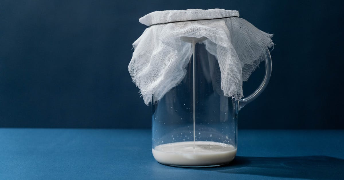 découvrez tout sur la whey : ses bienfaits, comment la consommer, pour qui elle est adaptée et comment choisir la meilleure protéine pour vos objectifs sportifs.