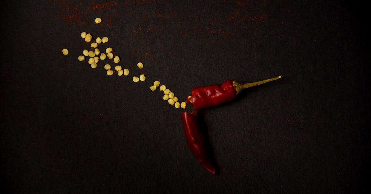 découvrez les bienfaits et utilisations de la capsaïcine, le composé actif des piments responsable de leur piquant, favorisant la santé et la gestion de la douleur.