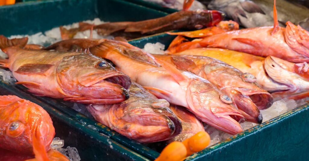 découvrez le régime pescétarien, une alimentation équilibrée incluant poissons et fruits de mer, idéale pour une santé optimale et une cuisine savoureuse.