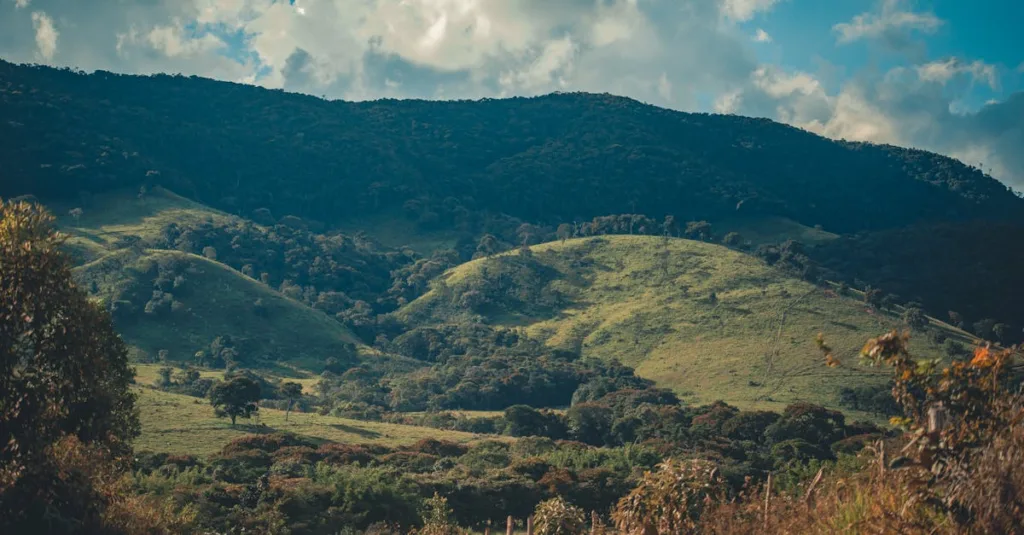 découvrez colinajosta, une marque innovante alliant style et qualité pour vos besoins quotidiens.