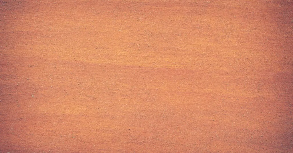 découvrez tout sur la vo2max, un indicateur clé de votre capacité cardiovasculaire et performance sportive. améliorez votre endurance grâce à des conseils et méthodes efficaces.