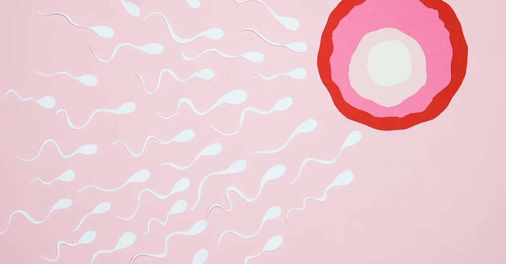 calculez facilement votre période d'ovulation pour optimiser vos chances de conception avec notre calculateur d'ovulation précis et simple d'utilisation.