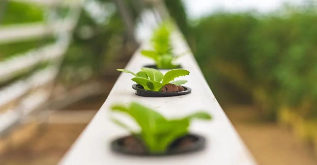 découvrez l'aquaponie, un système durable combinant aquaculture et culture hydroponique, pour un jardinage écologique et productif.
