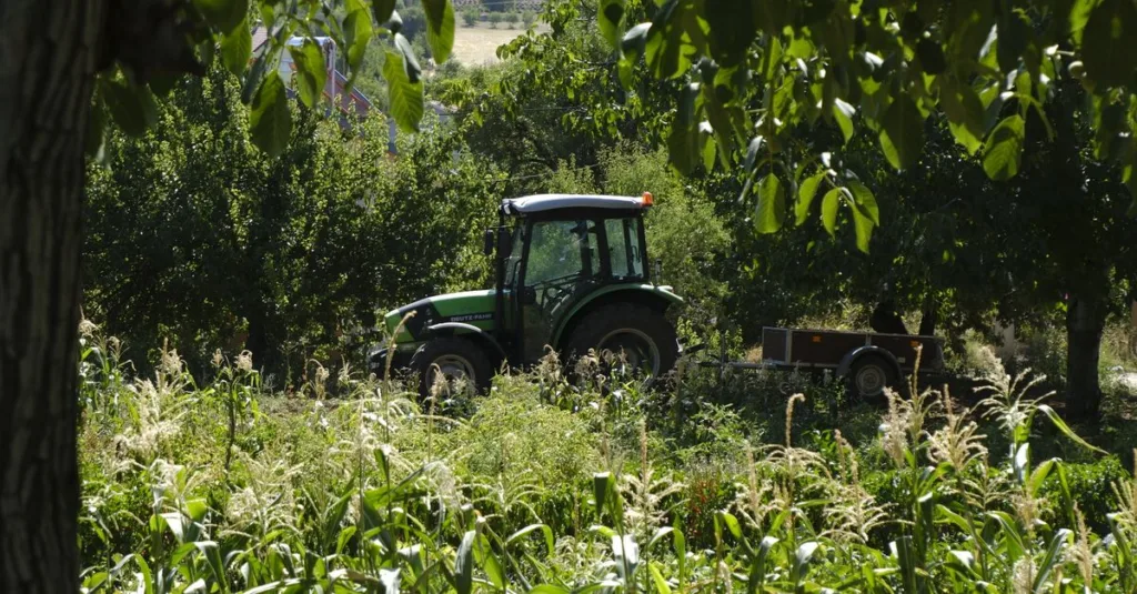 découvrez l'agriculture écologique : une méthode durable qui respecte l'environnement, favorise la biodiversité et garantit une production alimentaire saine et responsable.