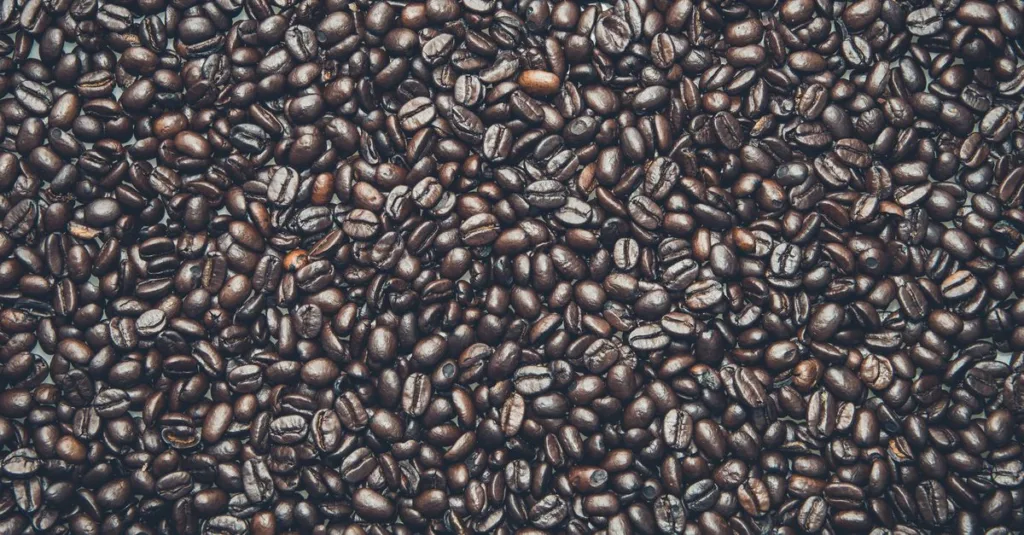 découvrez notre pré-workout sans caféine, idéal pour booster votre énergie naturellement sans nervosité ni chute d'énergie. parfait avant l'entraînement pour une performance optimale.