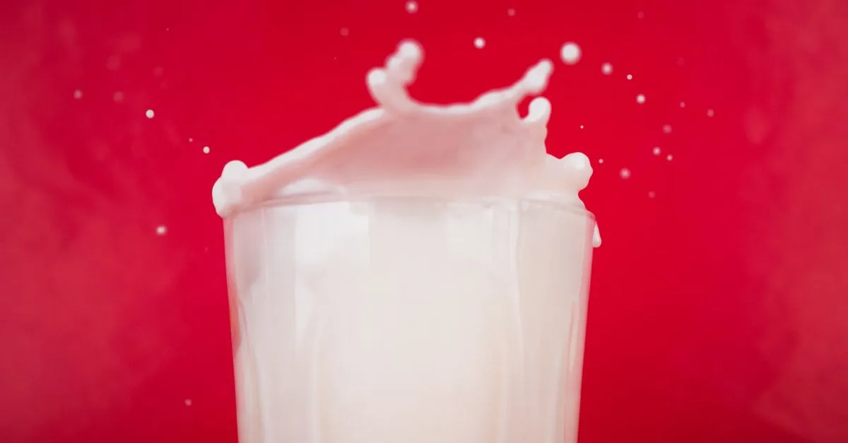 découvrez tout sur l'intolérance au lactose : symptômes, causes, diagnostic et conseils pour gérer une alimentation sans lactose.