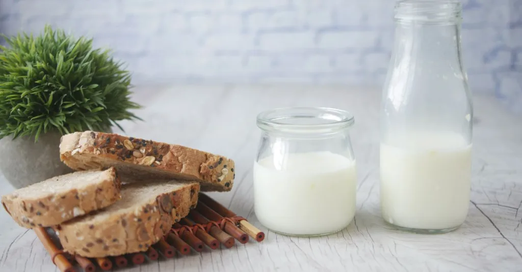 découvrez tout ce qu'il faut savoir sur l'intolérance au lactose : symptômes, causes, diagnostic et conseils pour bien vivre avec cette condition.
