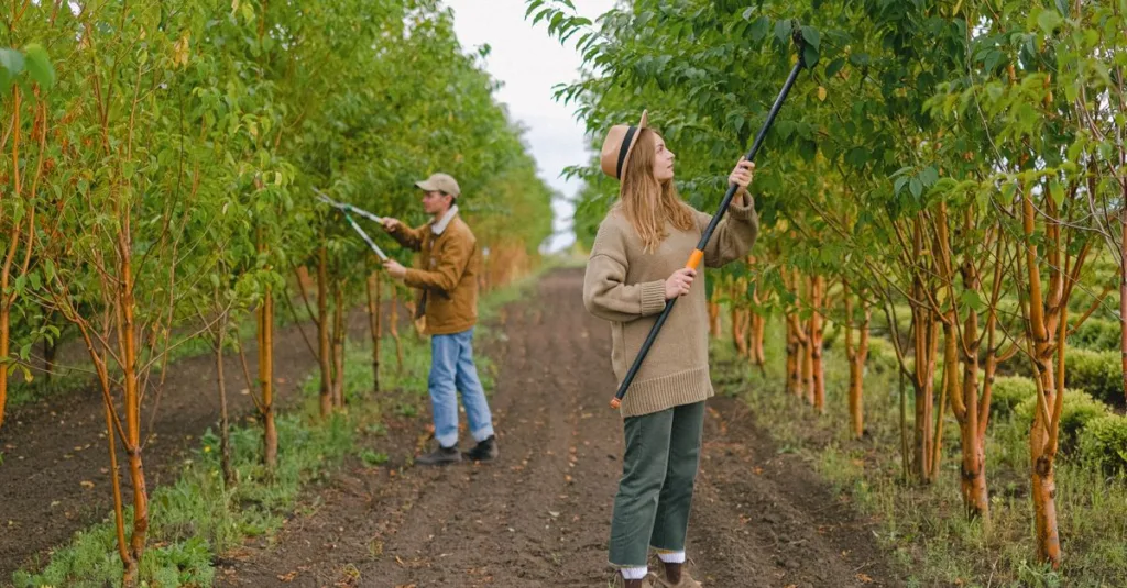 découvrez les techniques essentielles de la taille des plantes pour favoriser leur croissance, améliorer leur santé et sublimer votre jardin toute l'année.