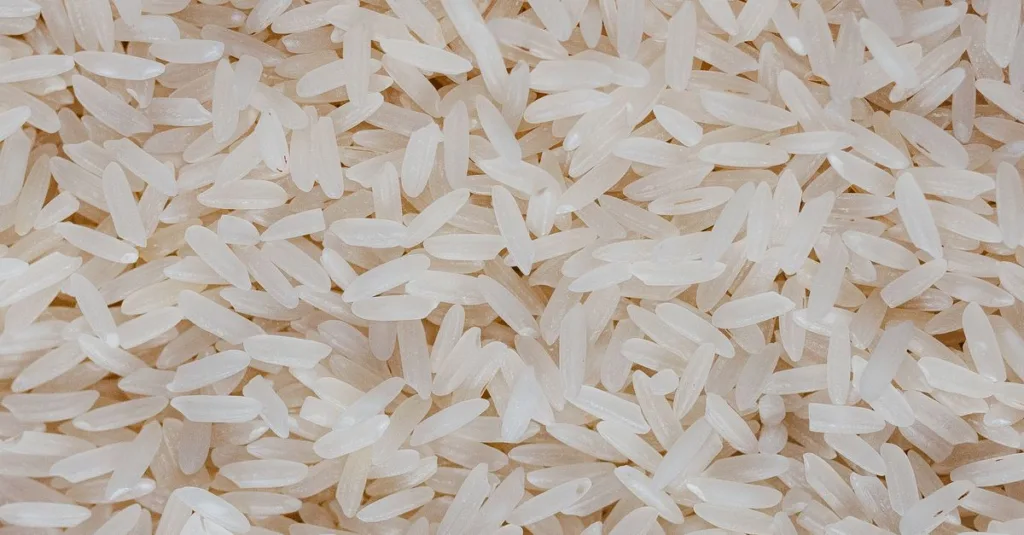 basmati ou riz complet : comparez leurs apports en glucides, fibres et énergie pour choisir le riz adapté à vos entraînements et à votre récupération.
