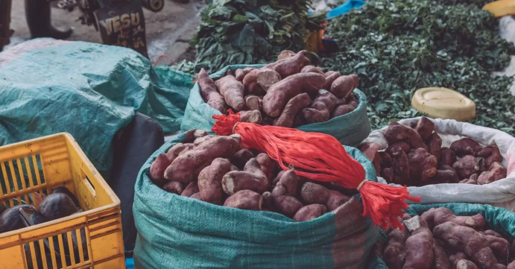 pommes de terre ou patates douces avant l’entraînement : comparez leurs glucides, leur digestion et leurs bienfaits pour choisir le meilleur carburant.