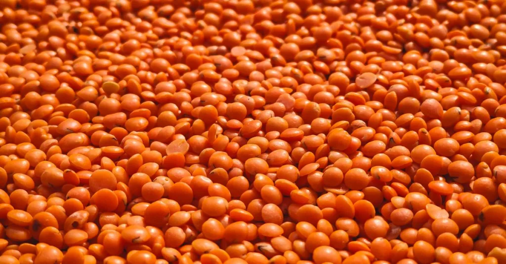 découvrez la teneur en protéines des lentilles cuites, leurs bienfaits nutritionnels et des conseils pour les intégrer à vos repas.
