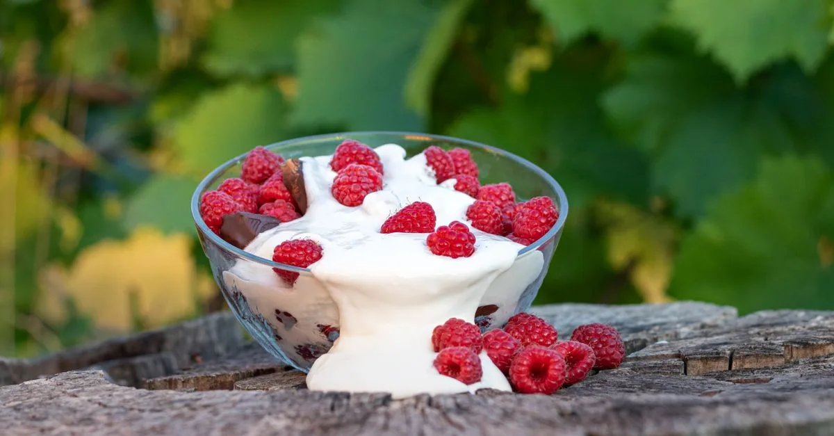 skyr ou fromage blanc : comparez leurs différences nutritionnelles, leur texture et leurs usages pour choisir le produit qui vous convient.